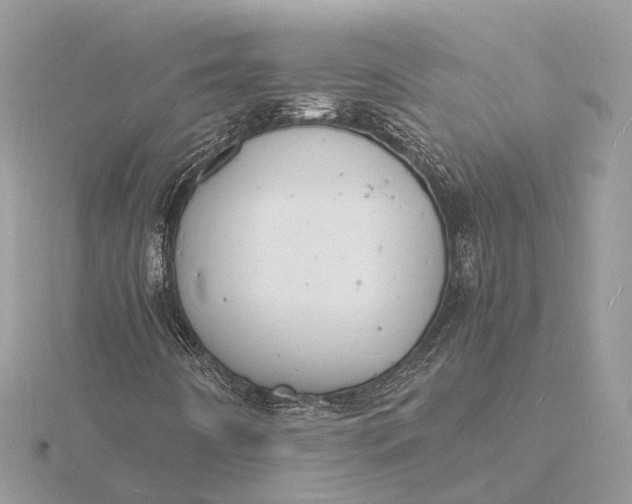 X0000116141442200912071233