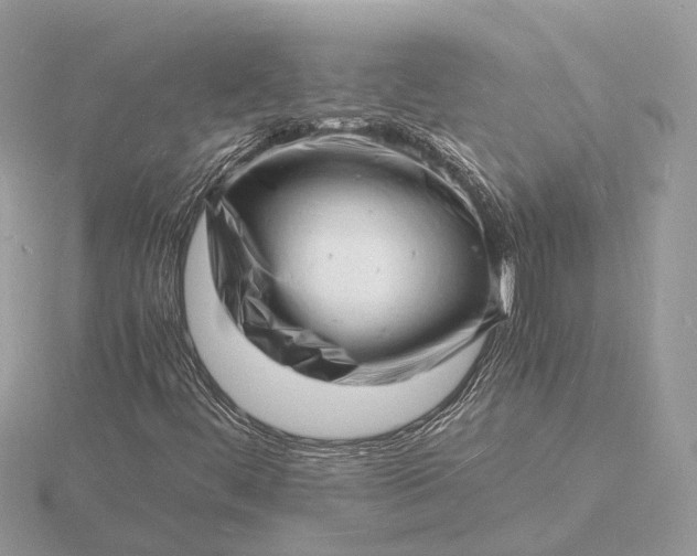 X0000116141444200912071233