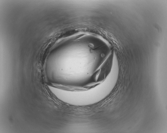 X0000116141445200912071233