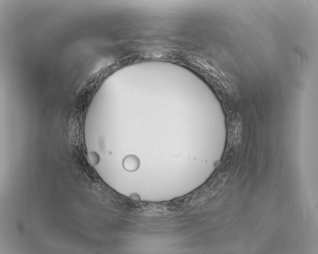 X0000116141446200912071233