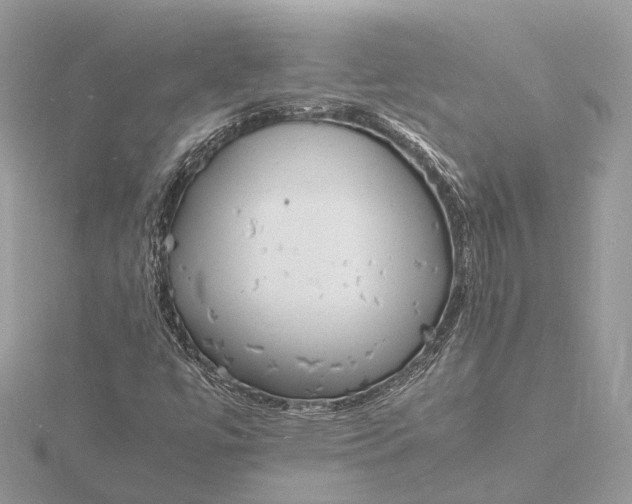 X0000116141447200912071233