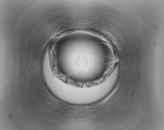 X0000116141449200912071233