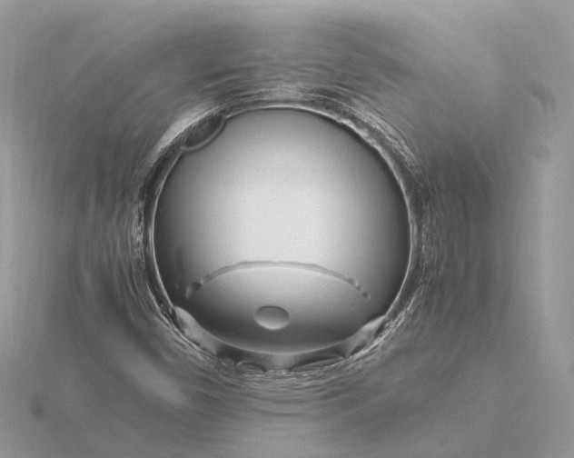 X0000116141450200912071233