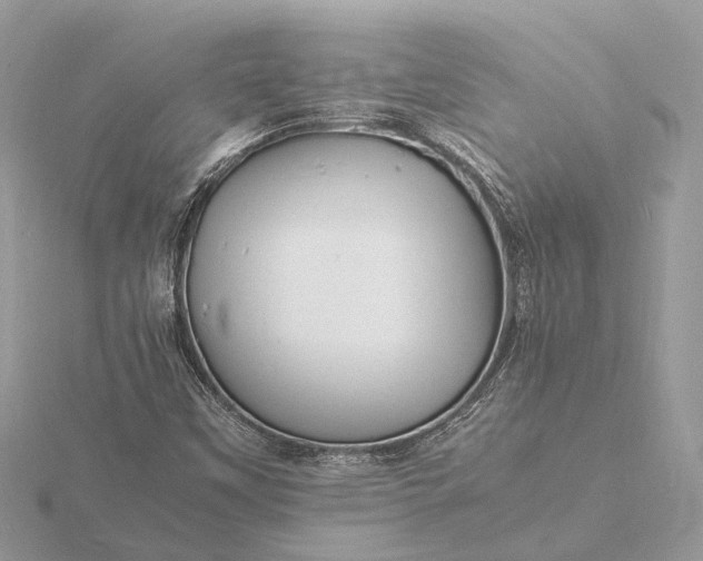 X0000116141451200912071233