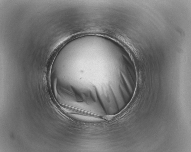 X0000116141452200912071233