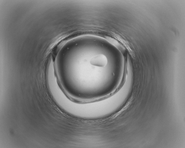 X0000116141453200912071233