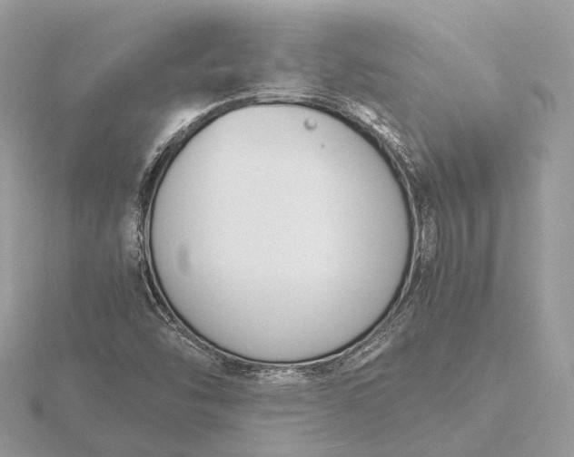 X0000116141454200912071233