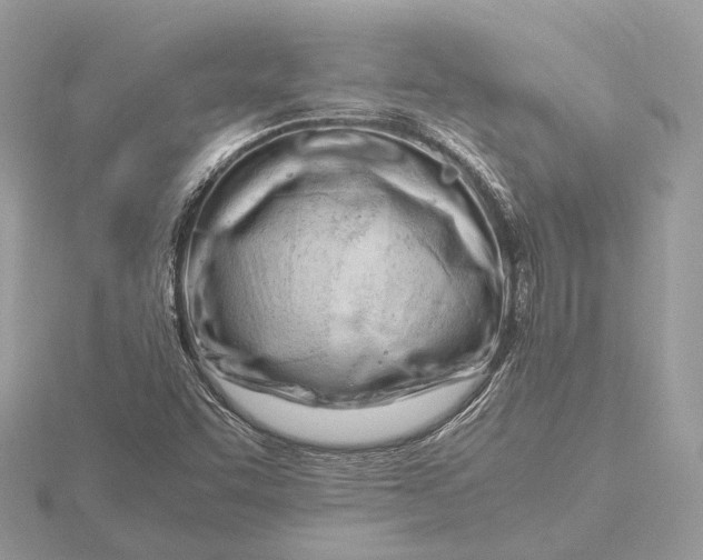 X0000116141455200912071233