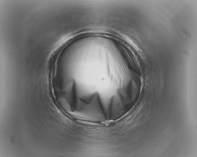 X0000116141456200912071233