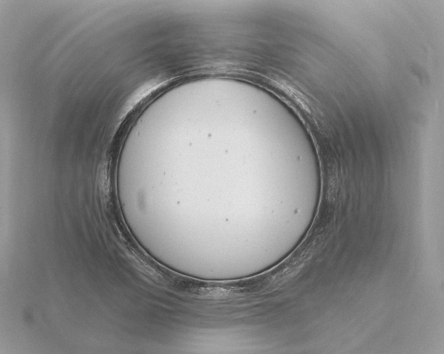 X0000116141458200912071233