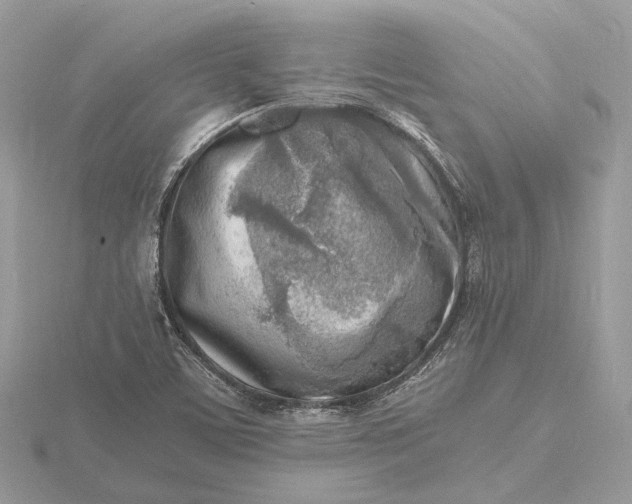 X0000116141459200912071233