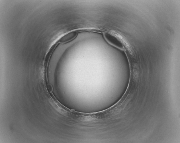 X0000116141460200912071233