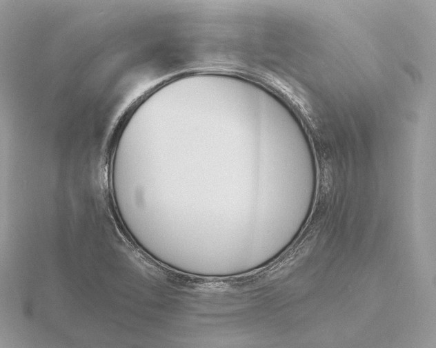 X0000116141462200912071233