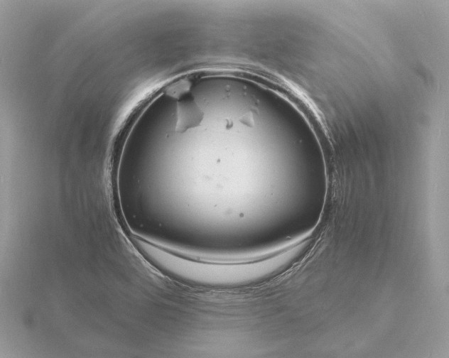 X0000116141464200912071233