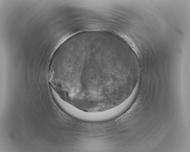 X0000116141465200912071233