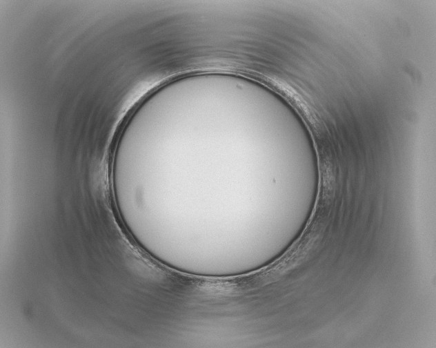 X0000116141466200912071233