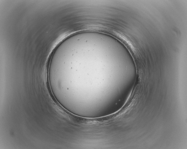 X0000116141467200912071233