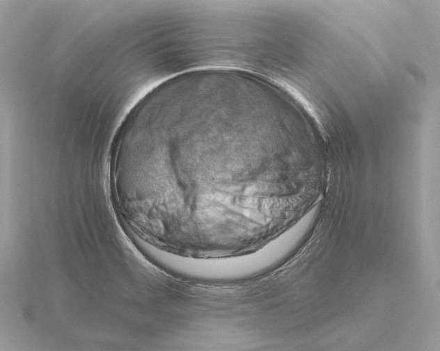 X0000116141468200912071233