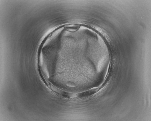 X0000116141469200912071233