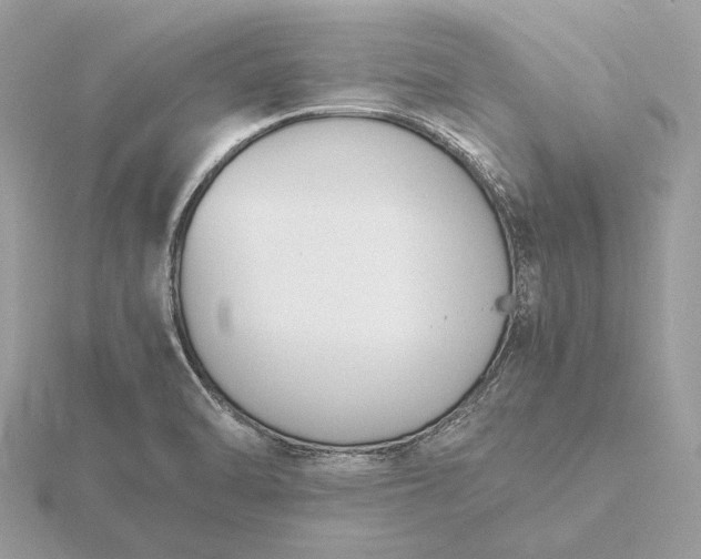 X0000116141470200912071233