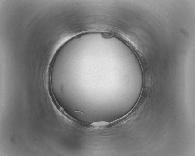 X0000116141471200912071233