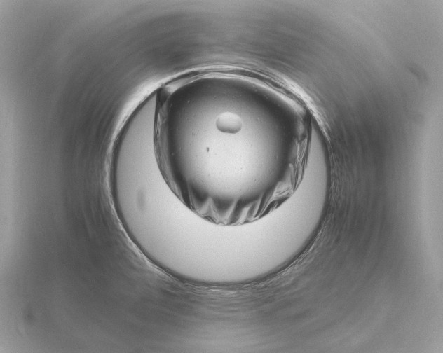 X0000116141472200912071233