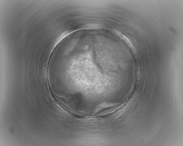 X0000116141473200912071233