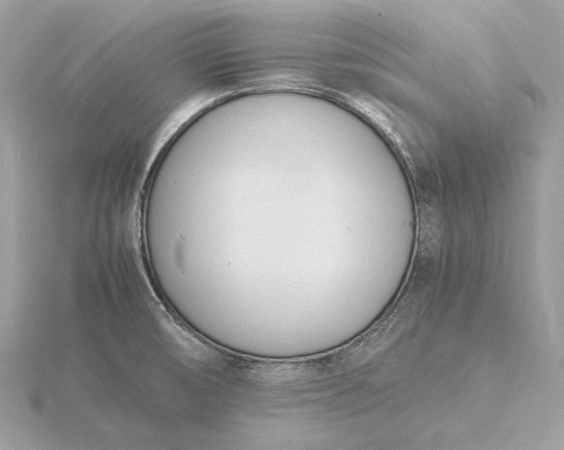 X0000116141474200912071233