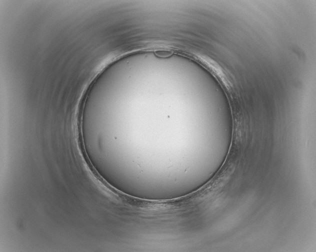 X0000116141475200912071233