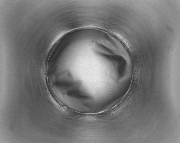 X0000116141476200912071233