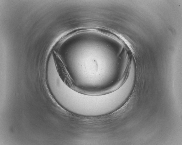 X0000116141477200912071233