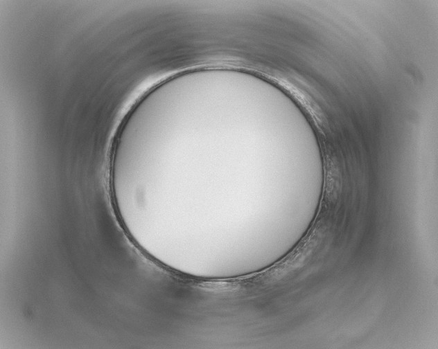 X0000116141478200912071233