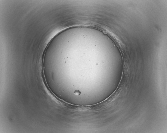 X0000116141479200912071233