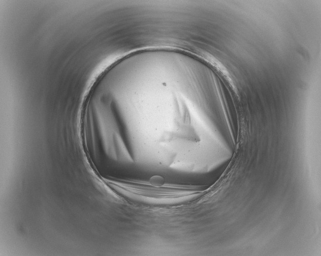 X0000116141480200912071233