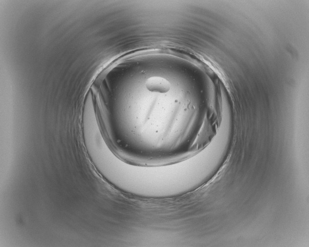 X0000116141481200912071233