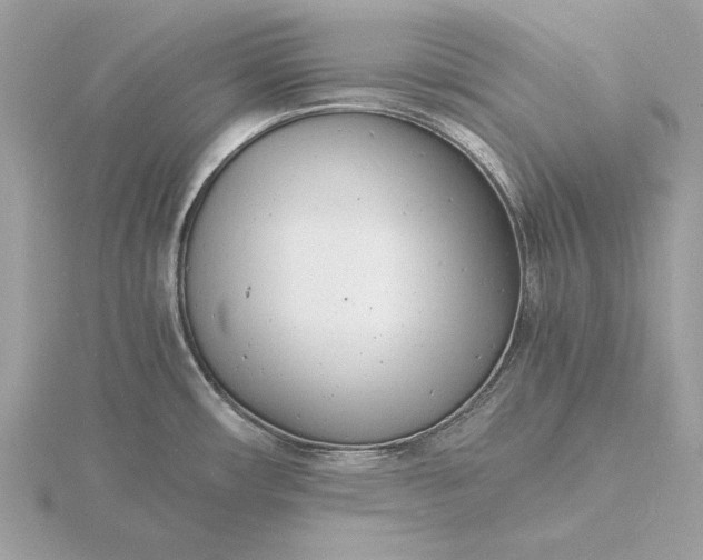 X0000116141482200912071233