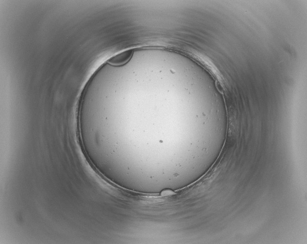 X0000116141483200912071233