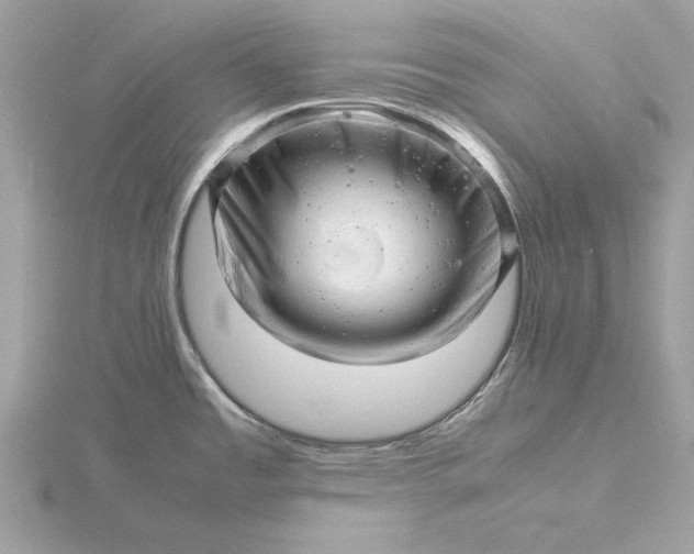 X0000116141485200912071232