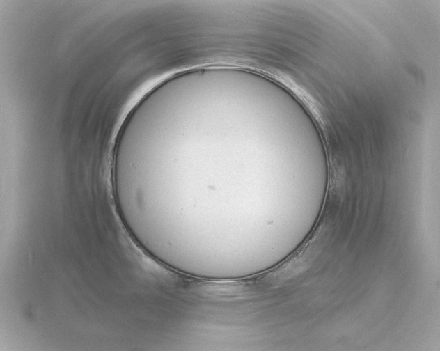 X0000116141486200912071232