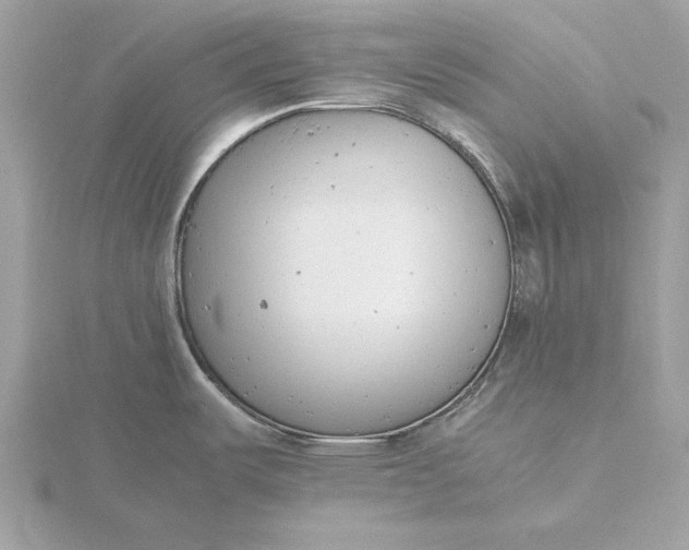 X0000116141487200912071232