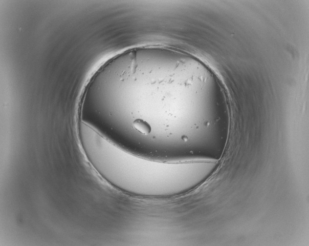 X0000116141488200912071232