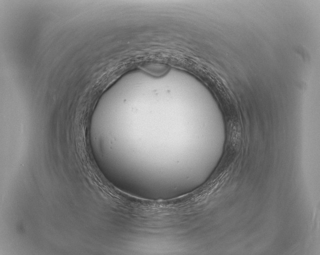 X0000116141489200912071232