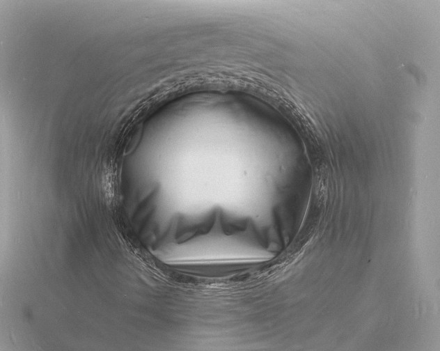 X0000116141490200912071232