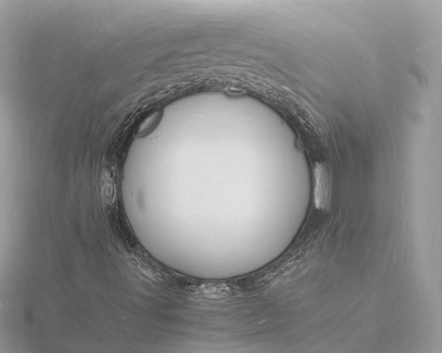 X0000116141491200912071232