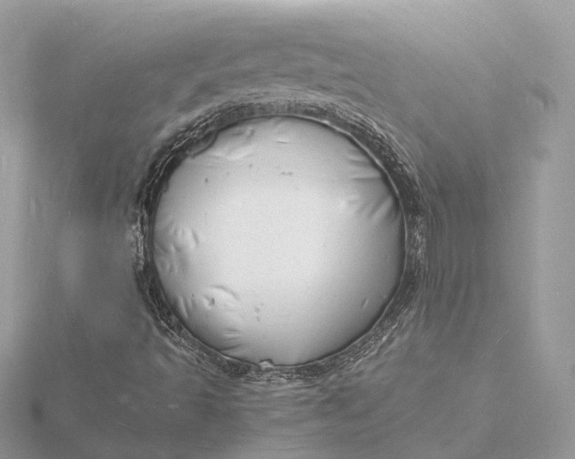 X0000116141493200912071232