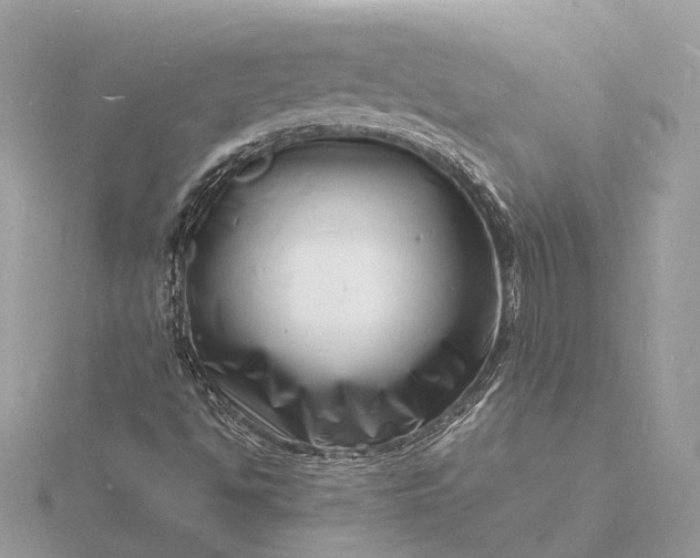 X0000116141494200912071232