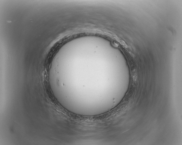 X0000116141495200912071232