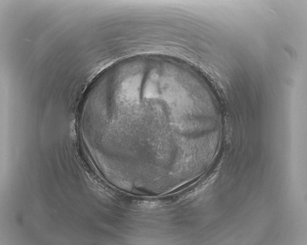 X0000116141497200912071232