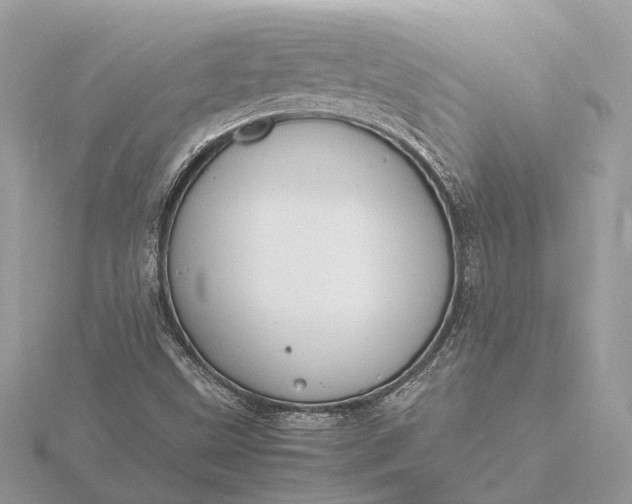 X0000116141499200912071232