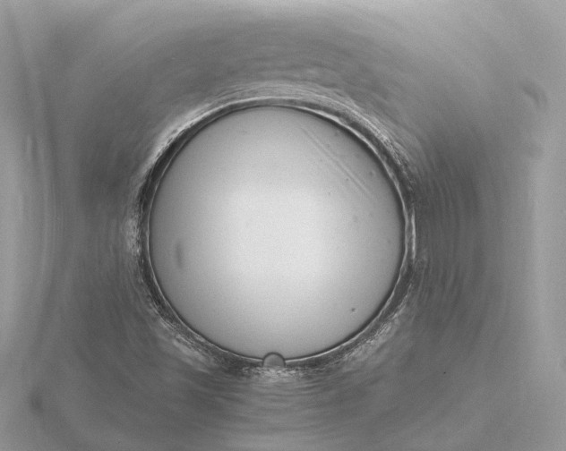 X0000116141501200912071232